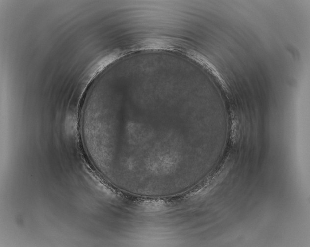 X0000111860882200908061333