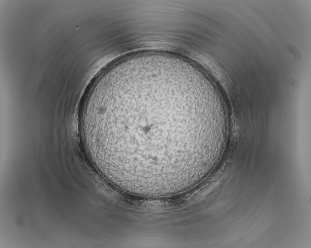 X0000111860883200908061333