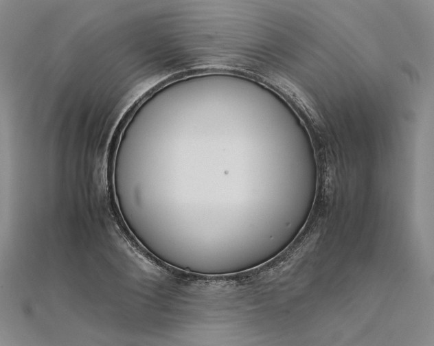 X0000111860884200908061333