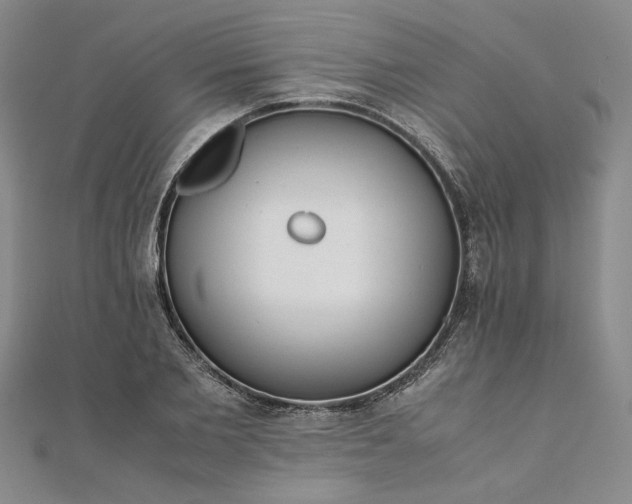 X0000111860885200908061333