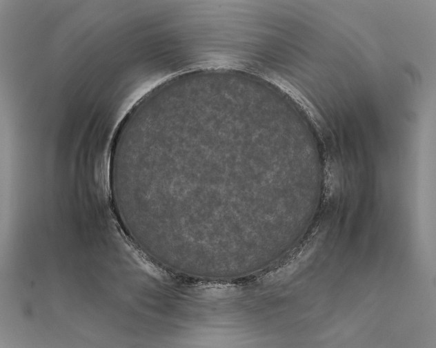 X0000111860886200908061333