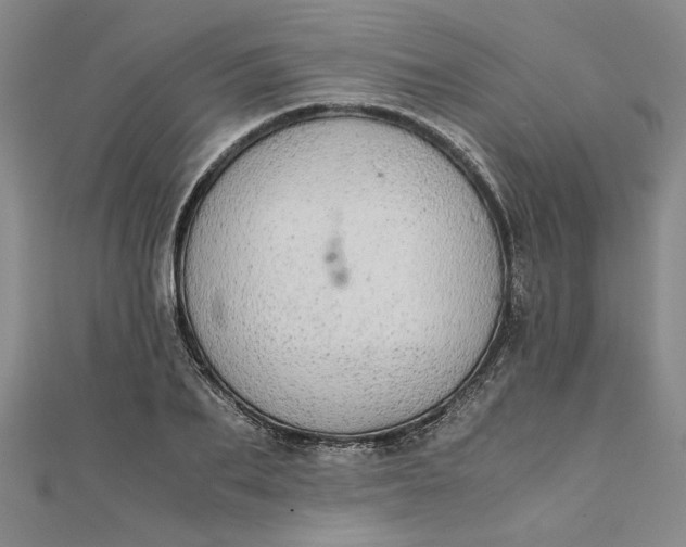 X0000111860887200908061333