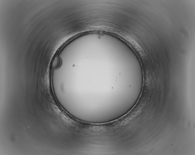 X0000111860888200908061333