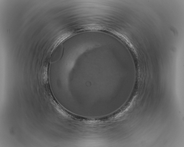 X0000111860889200908061333