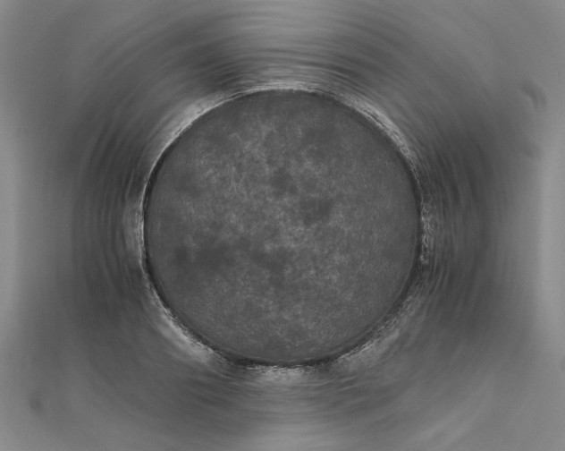 X0000111860890200908061333