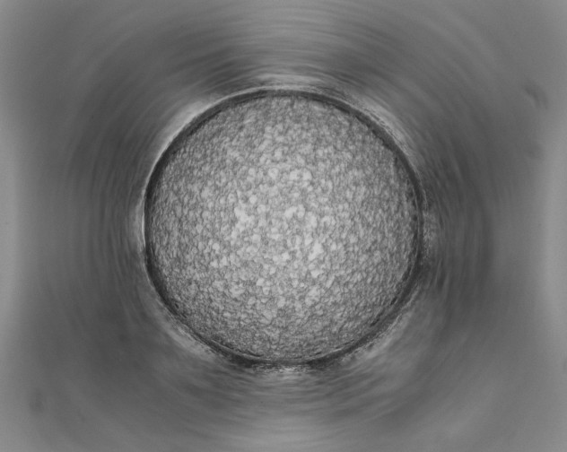 X0000111860891200908061333