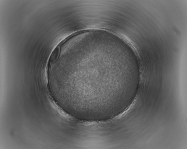 X0000111860892200908061333