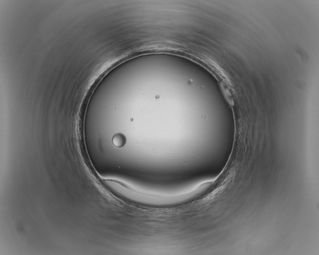 X0000111860893200908061333