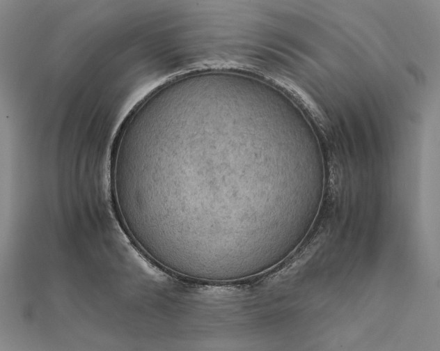 X0000111860894200908061333