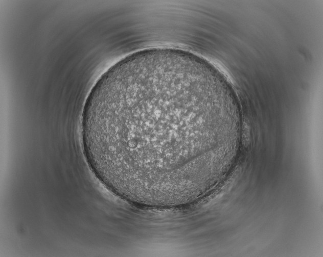 X0000111860895200908061333