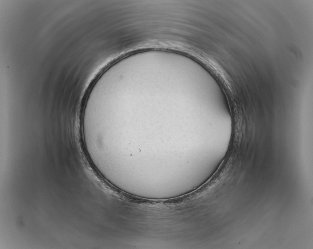 X0000111860896200908061333