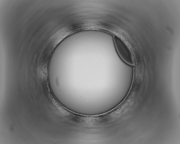 X0000111860897200908061333