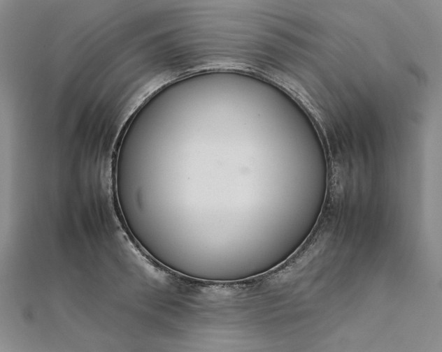 X0000111860898200908061333