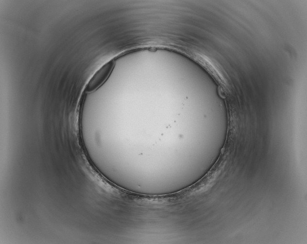 X0000111860900200908061333