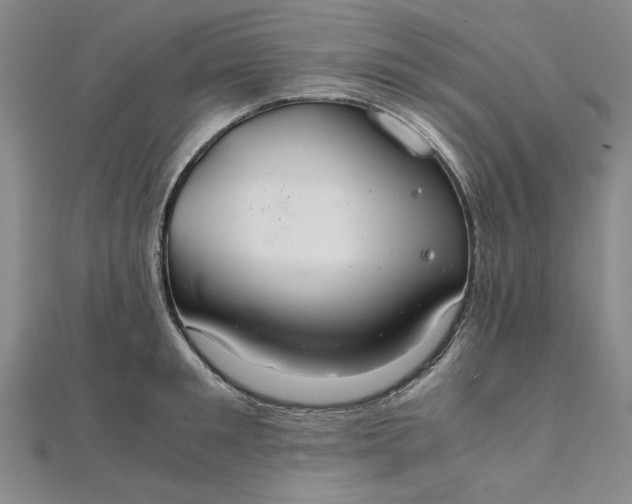 X0000111860901200908061333