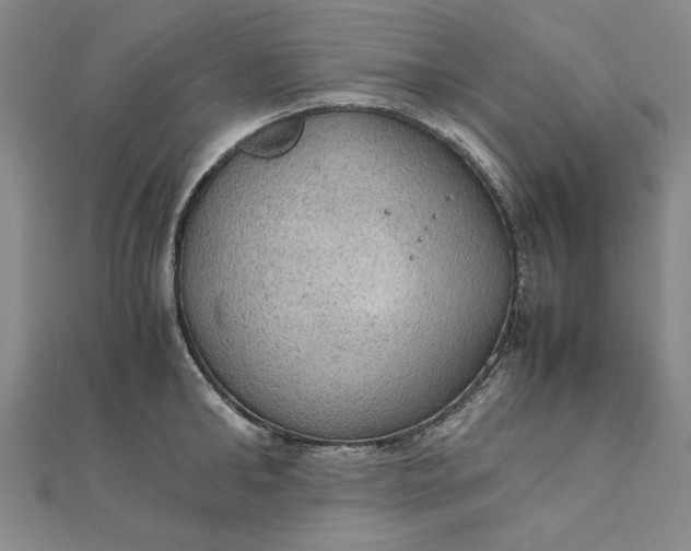 X0000111860902200908061333