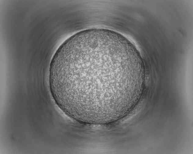 X0000111860903200908061333