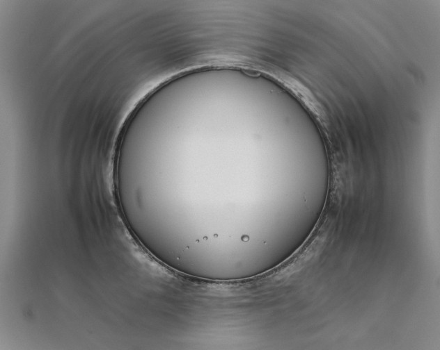 X0000111860904200908061333