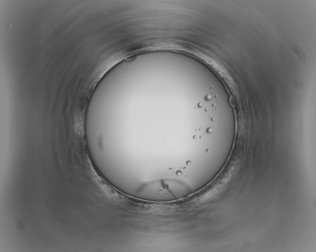 X0000111860905200908061333