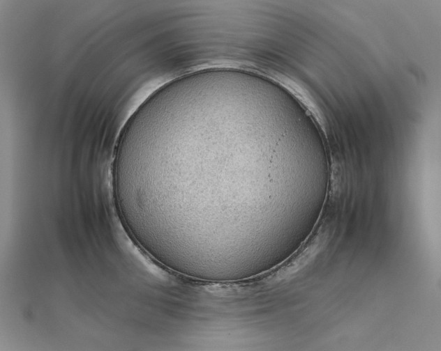 X0000111860906200908061333