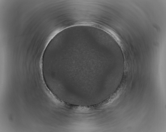 X0000111860907200908061333