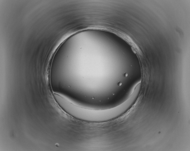 X0000111860908200908061333