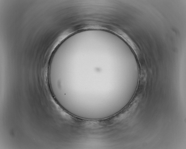 X0000111860909200908061333