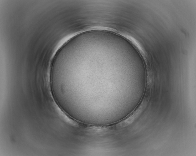 X0000111860910200908061333