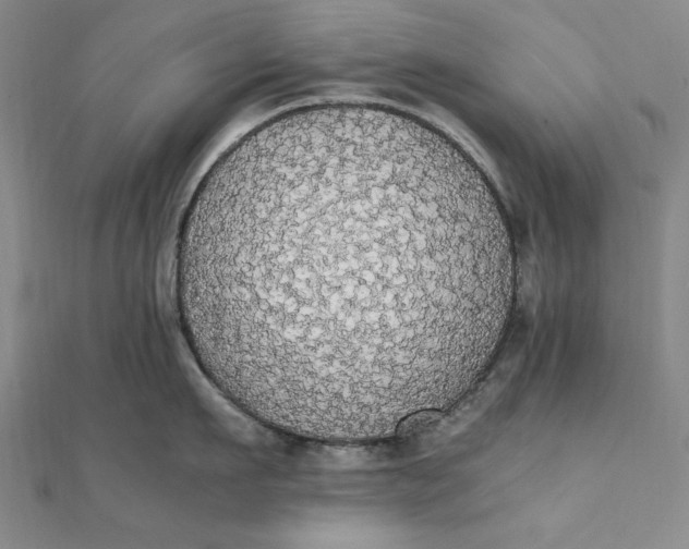 X0000111860911200908061333