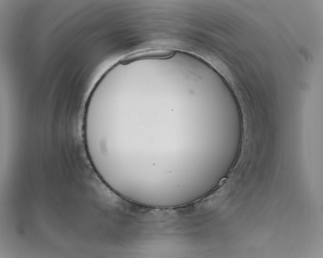 X0000111860912200908061333