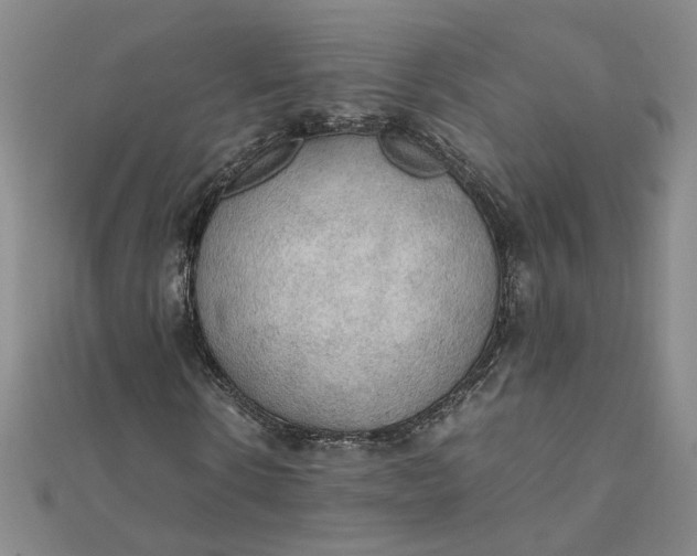 X0000111860914200908061332