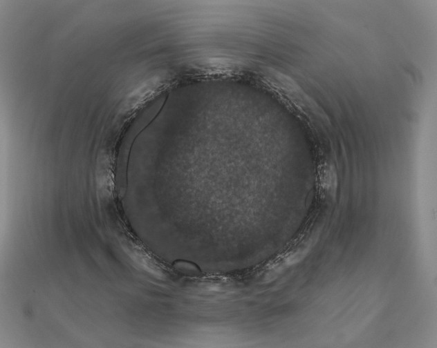 X0000111860916200908061332