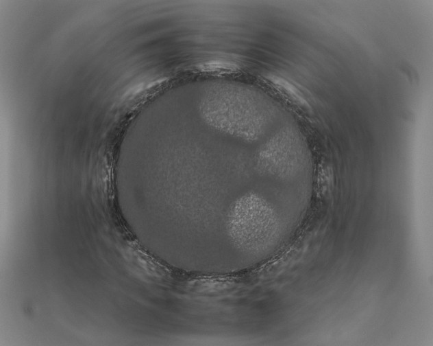 X0000111860917200908061332