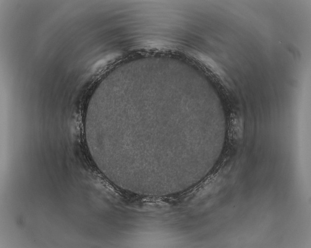 X0000111860918200908061332