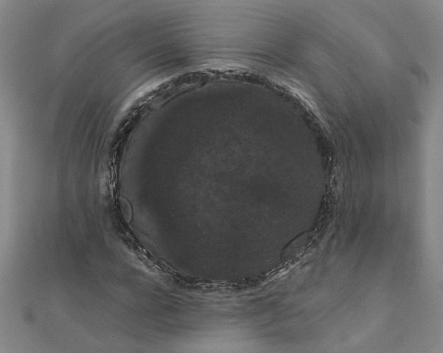 X0000111860920200908061333