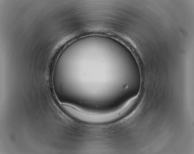 X0000111860922200908061333