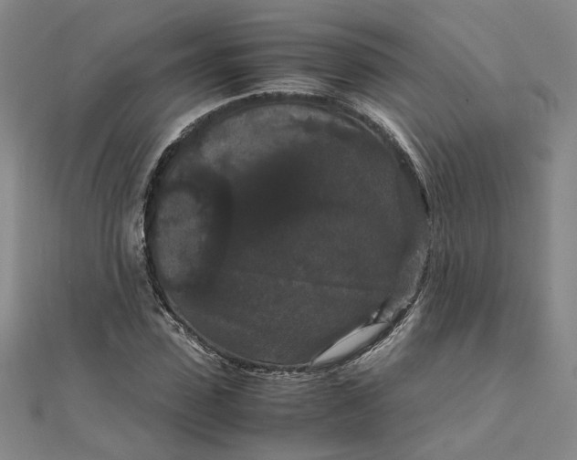 X0000111860923200908061333