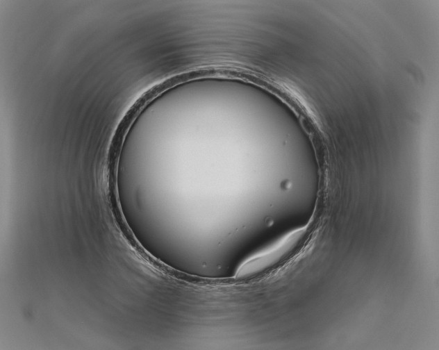 X0000111860924200908061333