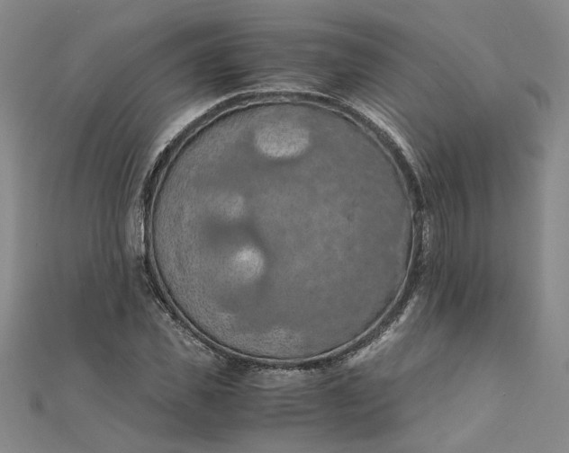 X0000111860925200908061333