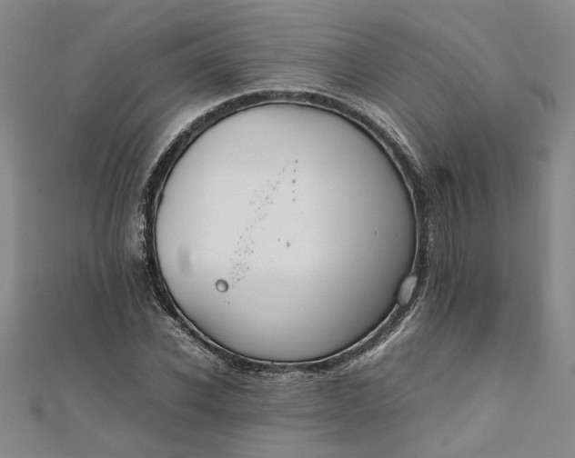 X0000111860926200908061333