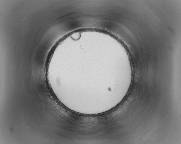 X0000111860927200908061333