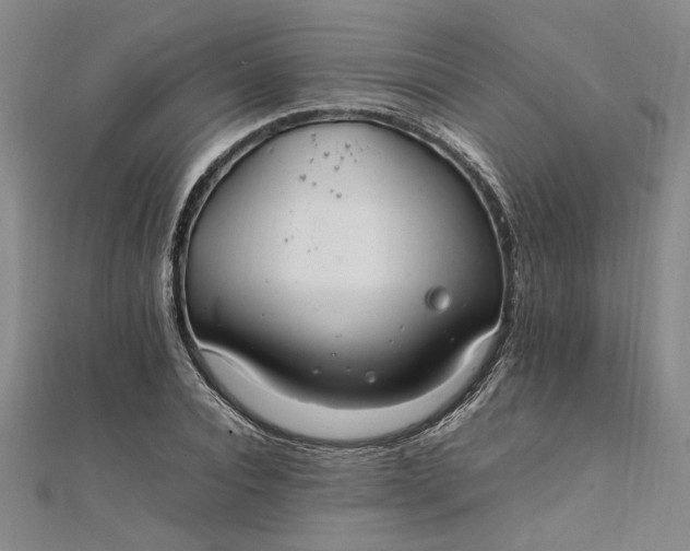 X0000111860928200908061333