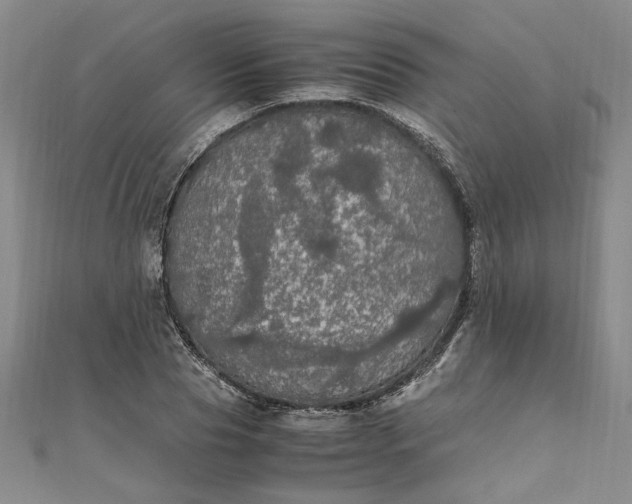 X0000111860929200908061333