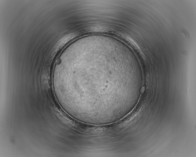 X0000111860930200908061333