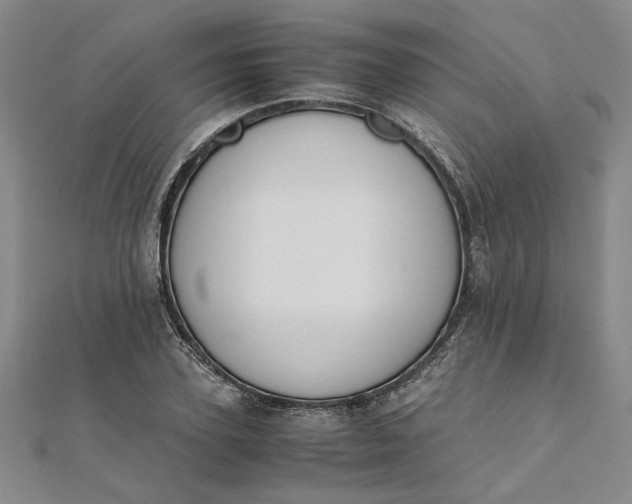 X0000111860931200908061333