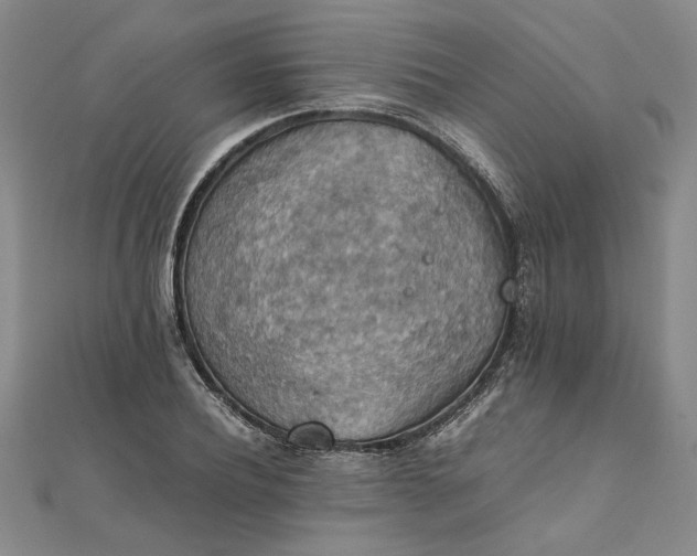 X0000111860932200908061333