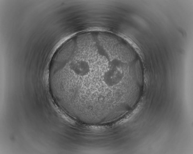 X0000111860933200908061333