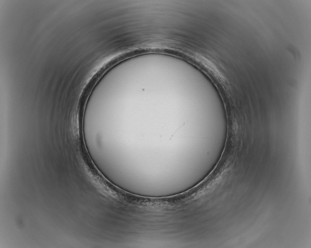 X0000111860934200908061333