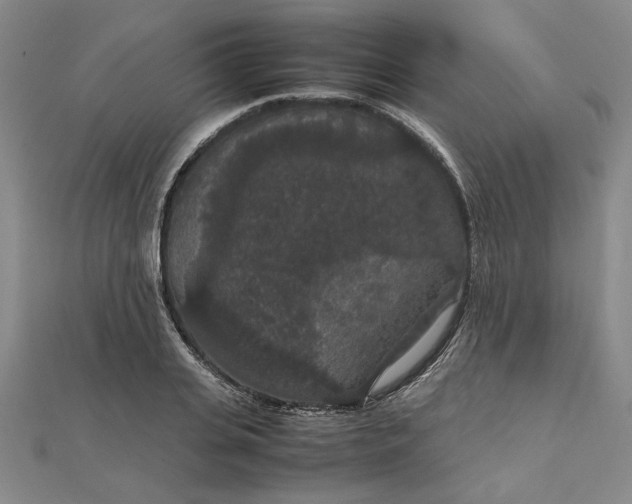 X0000111860935200908061333