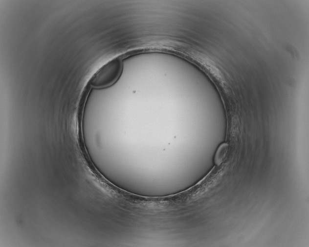 X0000111860936200908061333